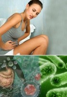 penyakit disentri penyakit disentri