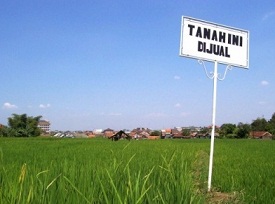 jual beli tanah