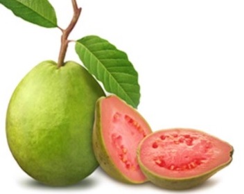 vitamin c dalam jambu biji