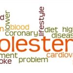 kolesterol